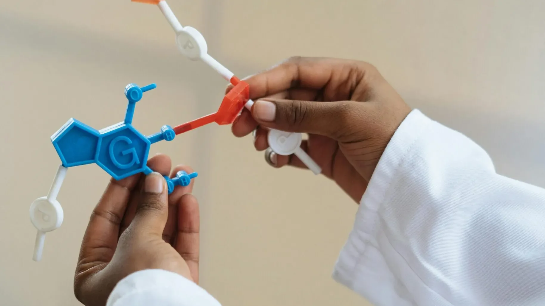 Imagen representativa de NMN: Cover nmn