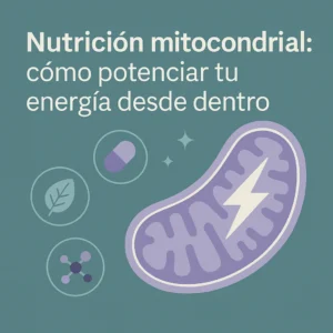 Ilustración científica de una mitocondria representando la energía celular y la nutrición avanzada.